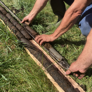 An(moor)näherung – Torfböden im Spannungsfeld zwischen Nutzung und Erhalt